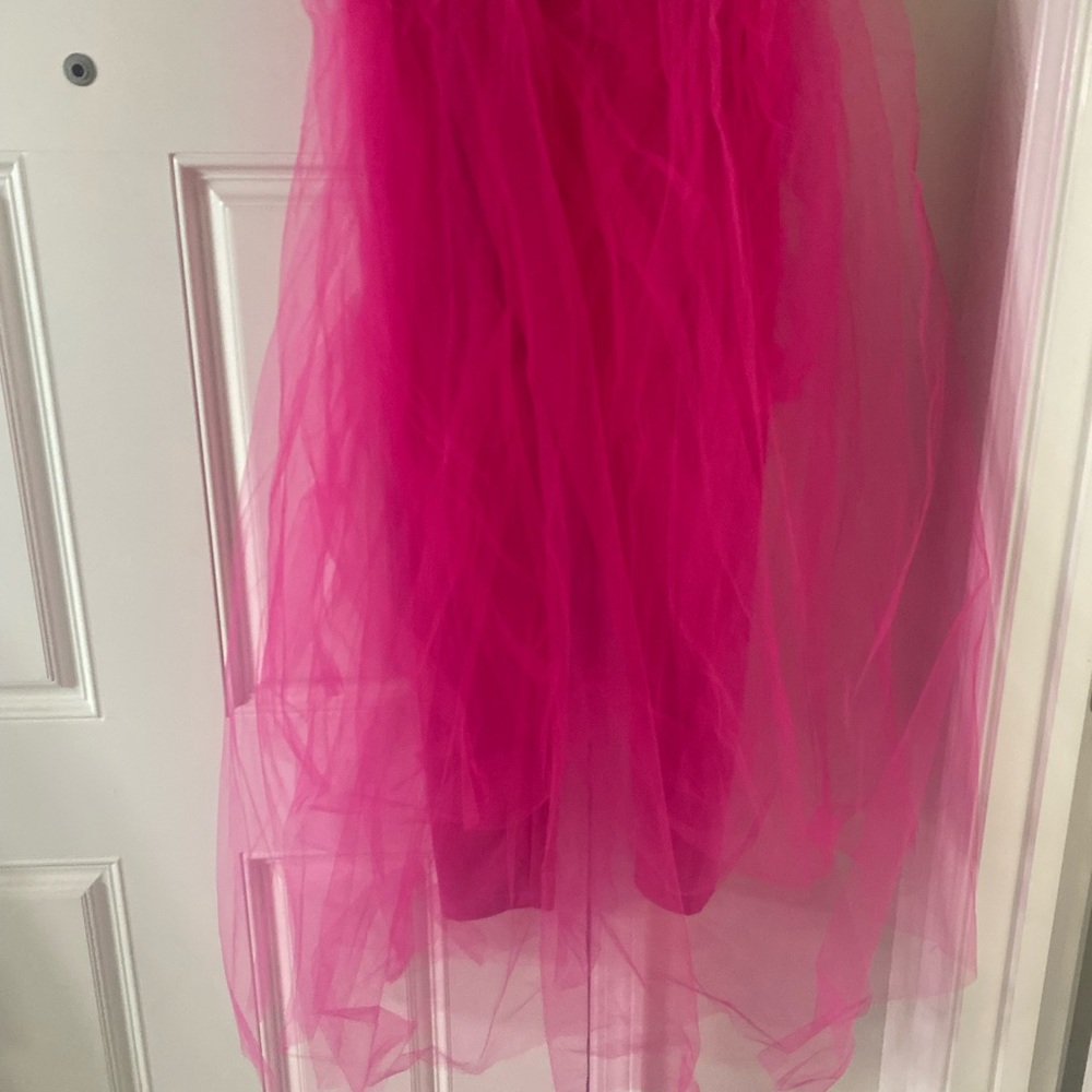 Vibrant Pink Tulle Skirt